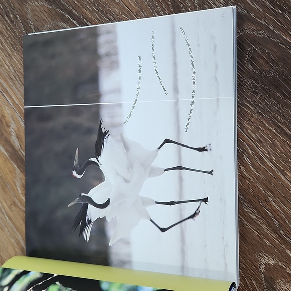 Priceless Vanishing Beauty of a Fragile Planet Book - Picture 10 of 16